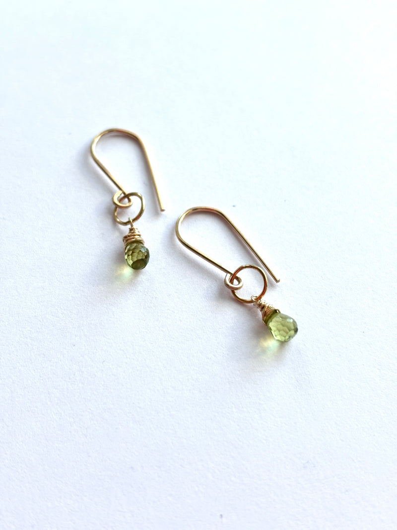 The Full Circle earrings